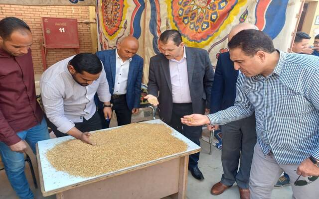 بدء موسم توريد القمح المحلي للعام 2025