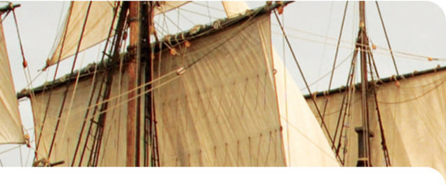 the CEO’s resignation will not impact its financial position