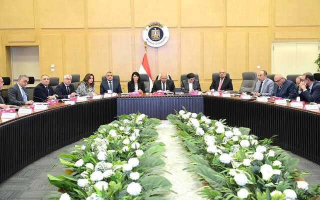 كامل الوزير نائب رئيس مجلس الوزراء للتنمية الصناعية وزير الصناعة والنقل