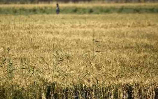 Photo Credit: Arabianeye-Reuters