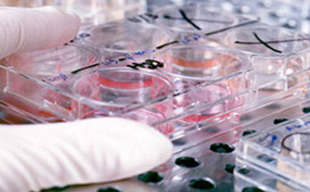 التأمين الصحي أحد أنشطة التأمين الإسلامية - الصورة من موقع الشركة