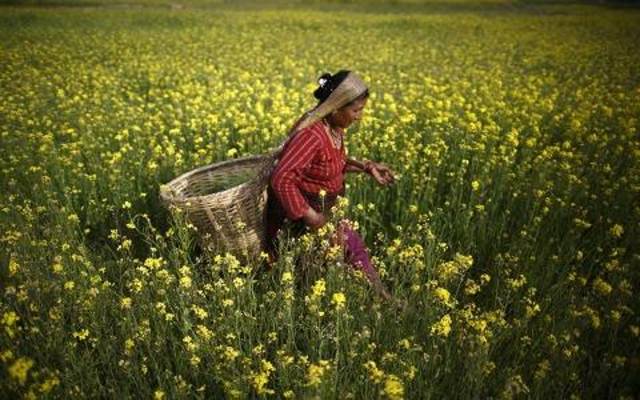 Photo Credit: Arabianeye-Reuters