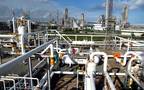 Net profits soared to EGP 22.29 million