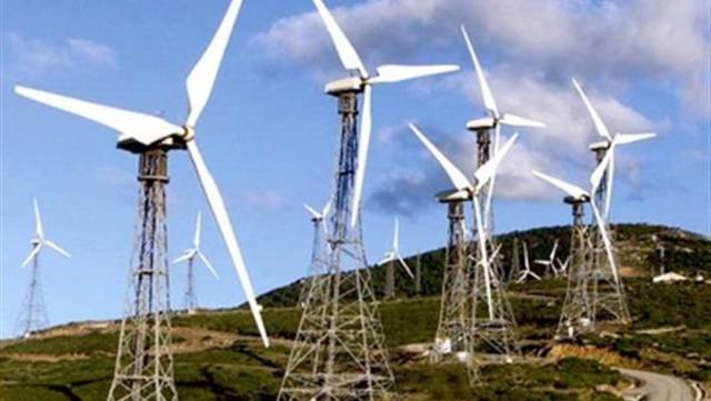 الصورة من رويترز