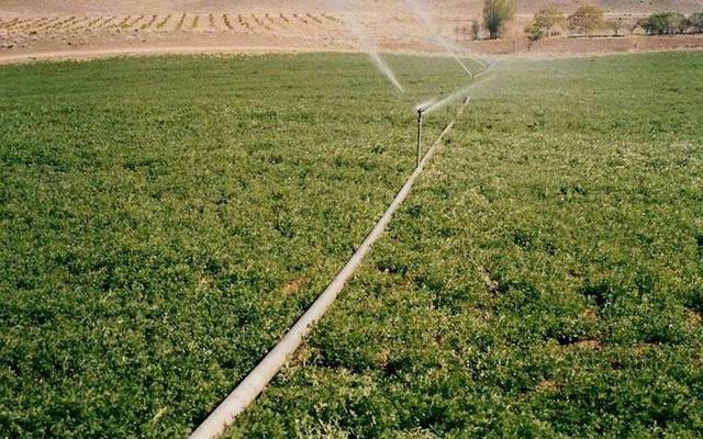 Photo credit: Arabianeye - Reuters