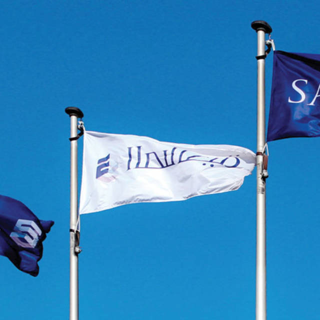 Salhia's income statement will show lower financing costs