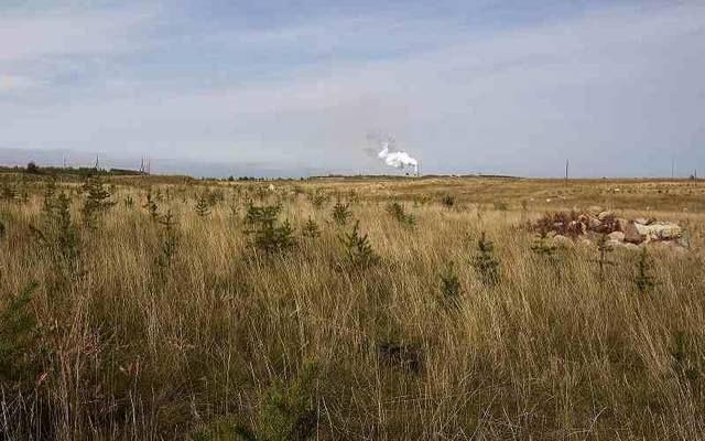 Photo Credit: Arabianeye-Reuters