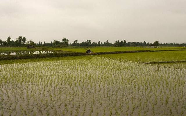General Land Reclamation turns profitable in FY2015/16