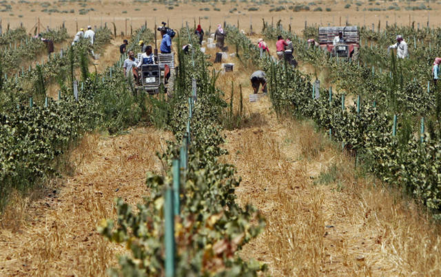 الشركة تحولت للخسائر خلال التسعة أشهر الأولى من العام الجاري-الصورة من رويترز - آريبيان آي