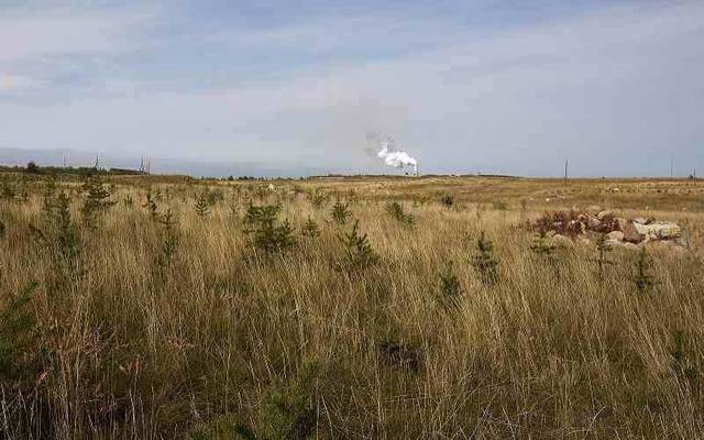 Photo Credit: Arabianeye-Reuters