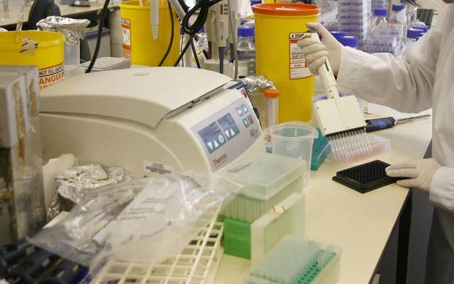 The losses registered in FY18 were attributed to lower sales