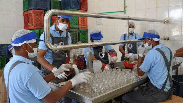 العمل في مصر