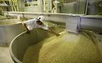 Oman Flour Mills