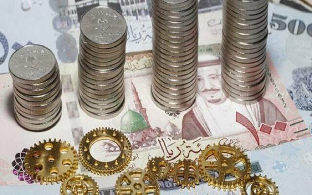 أرباح "فش فاش" ترتفع خلال العام 2023 إلى 2.54 مليون ريال