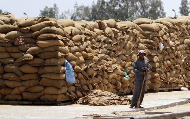 SCFM on Monday reported turning to profitability in the fiscal year ended June 2017