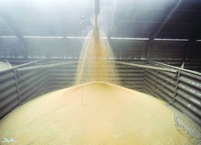 Sales went down to EGP 1.14bn in 12M