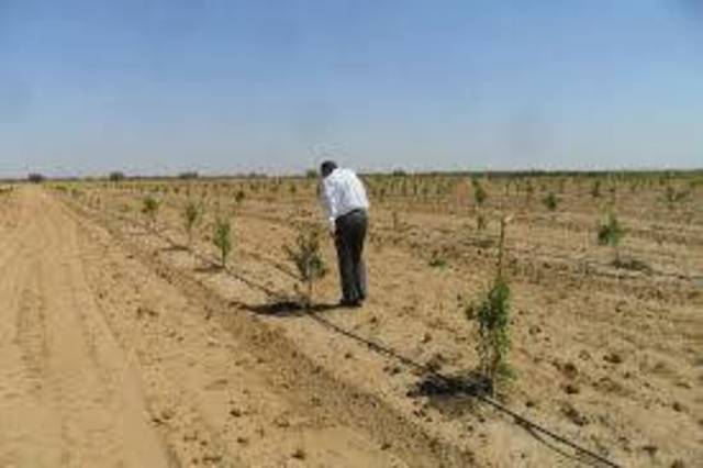 Photo Credit: Arabianeye - Reuters